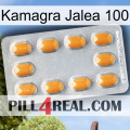 Kamagra Jelly 100 cialis3